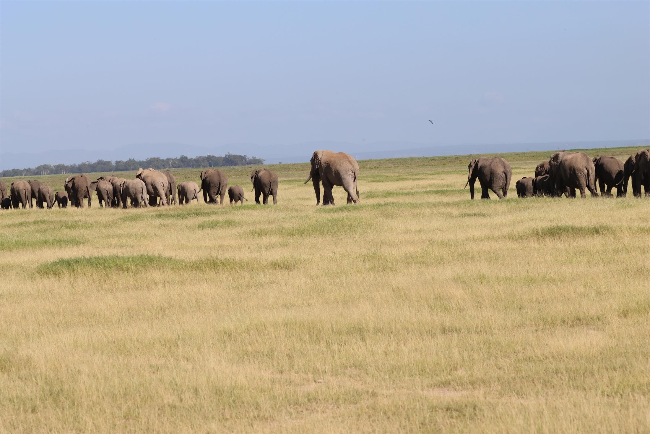 Calving Tour (Premium) itinerary