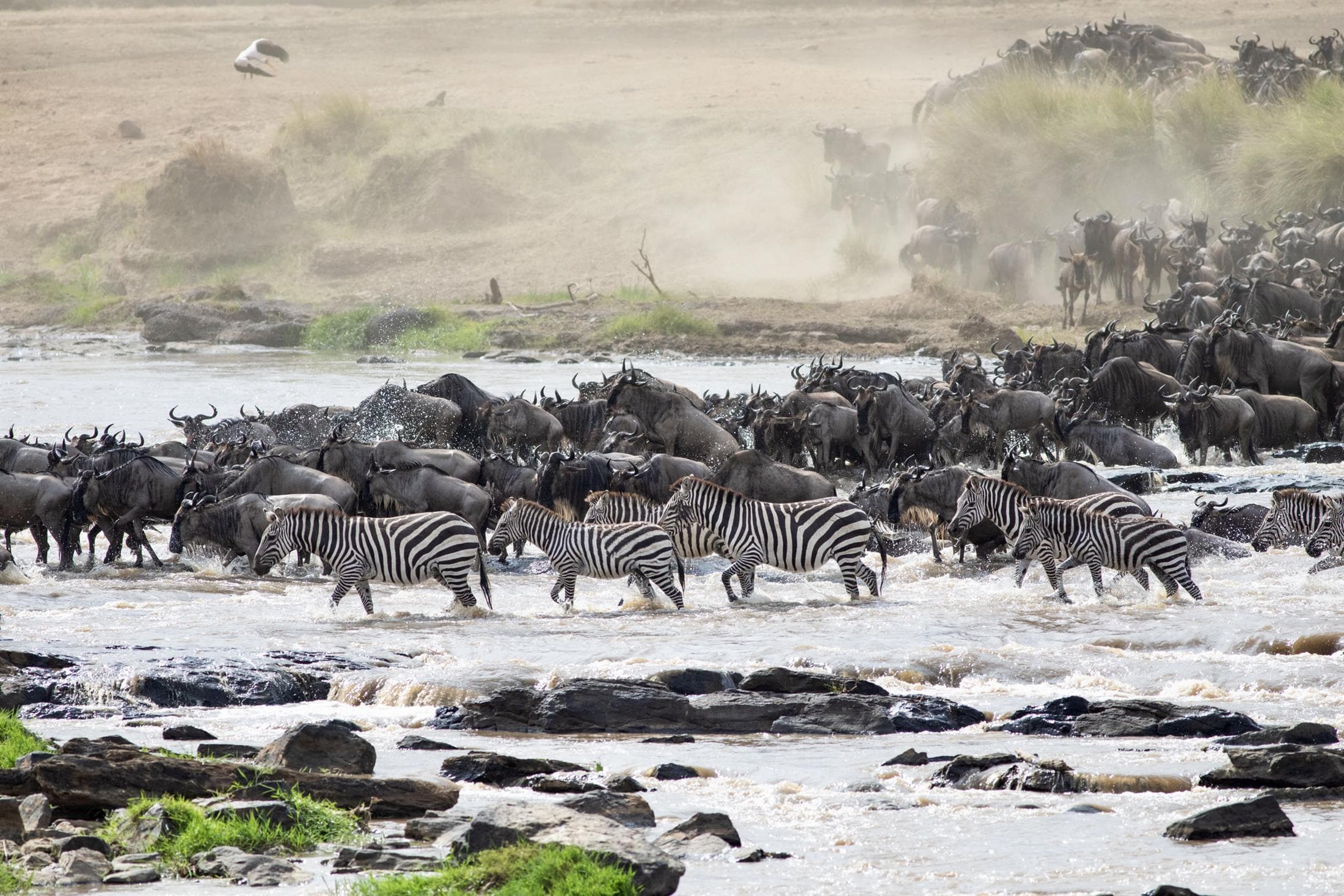 Tanzania safari destination photo