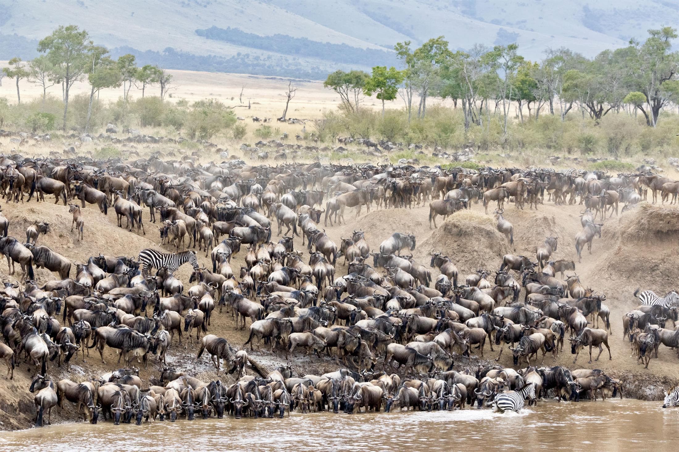 Tanzania safari destination photo