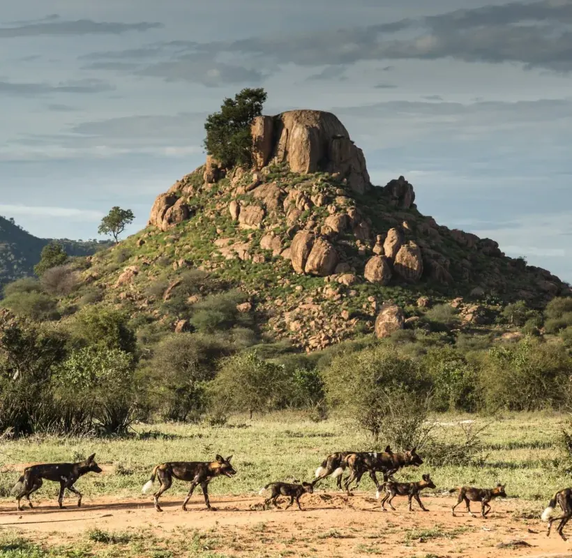 Tanzania safari destination photo