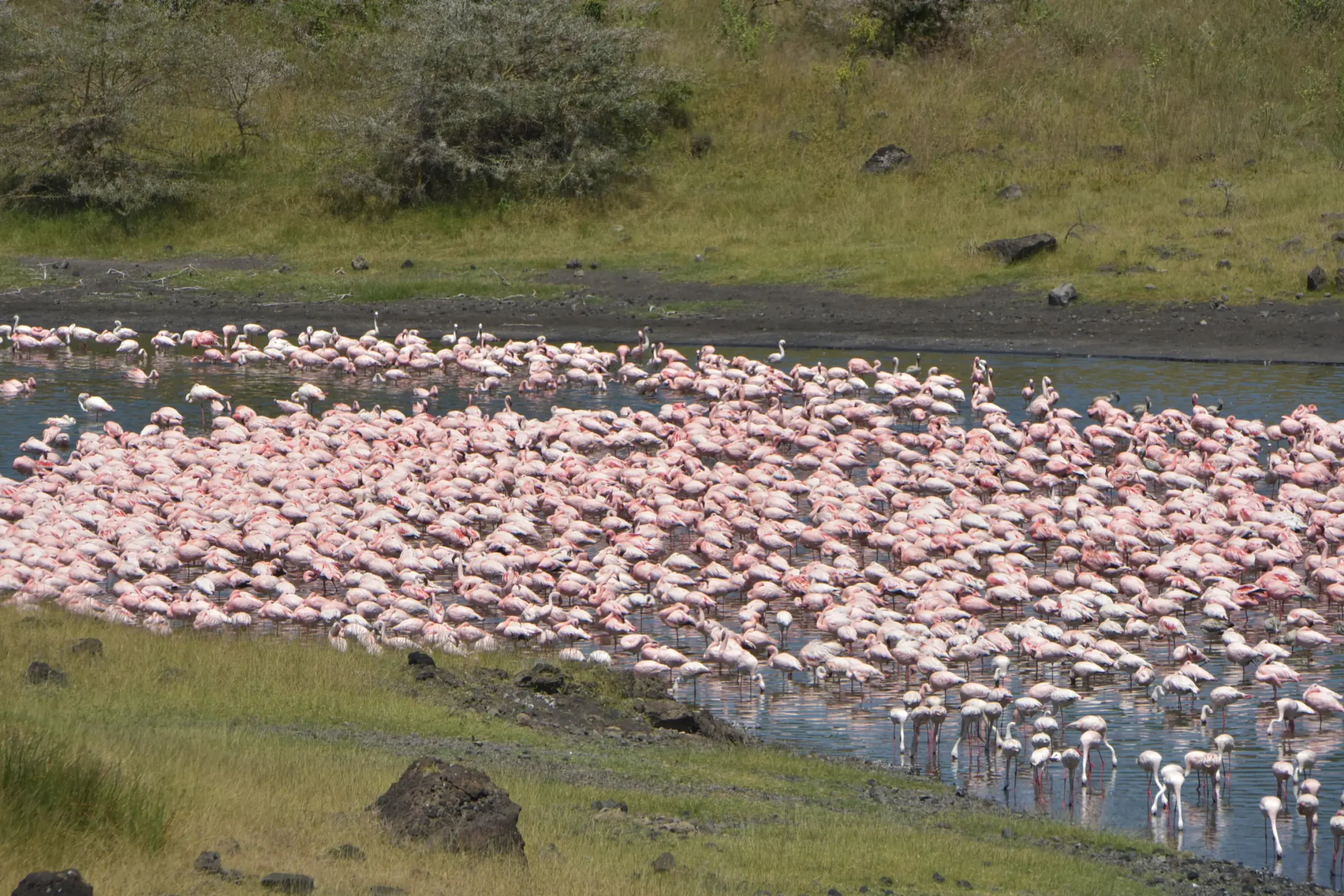 Tanzania safari destination photo