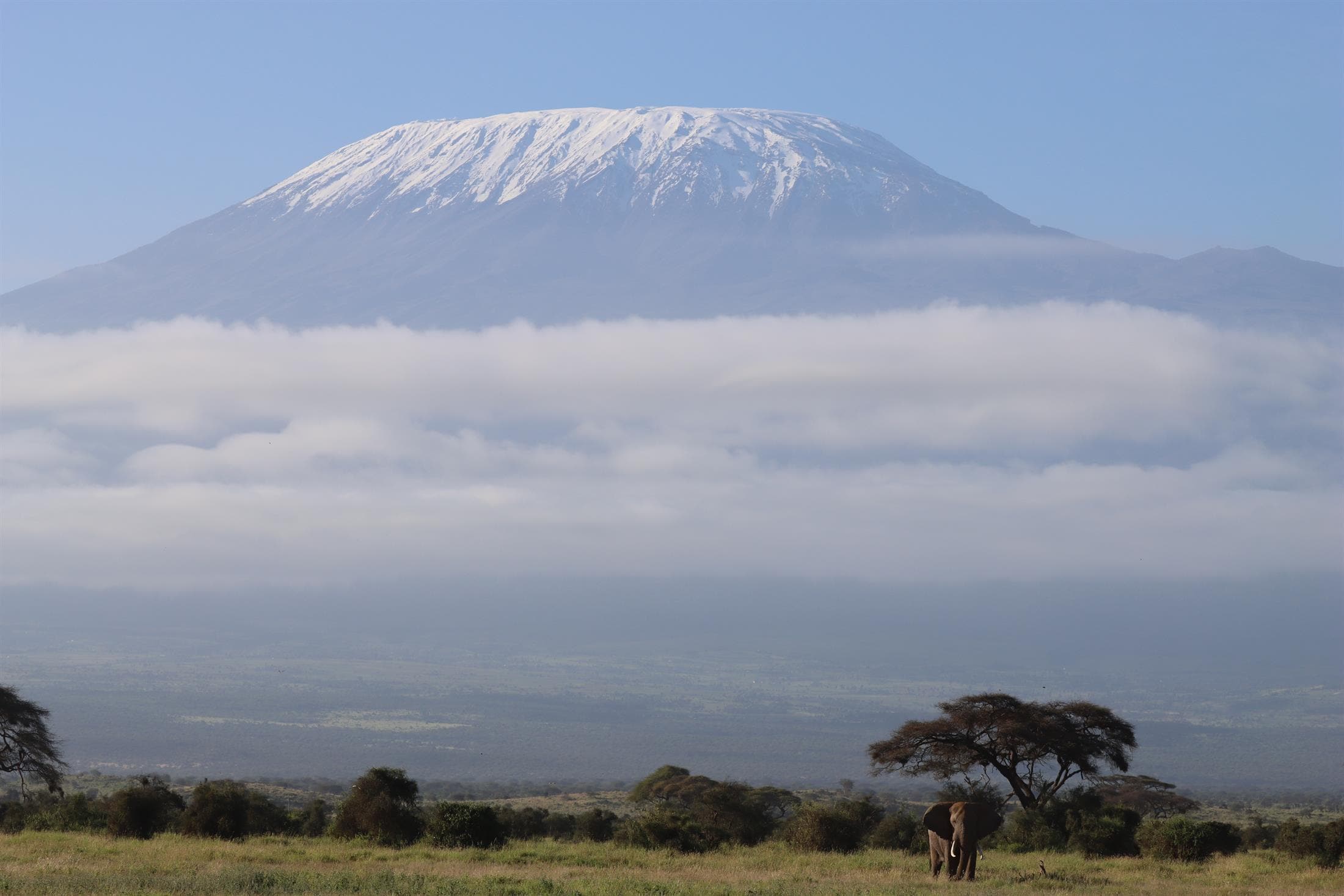 Mount Kilimanjaro