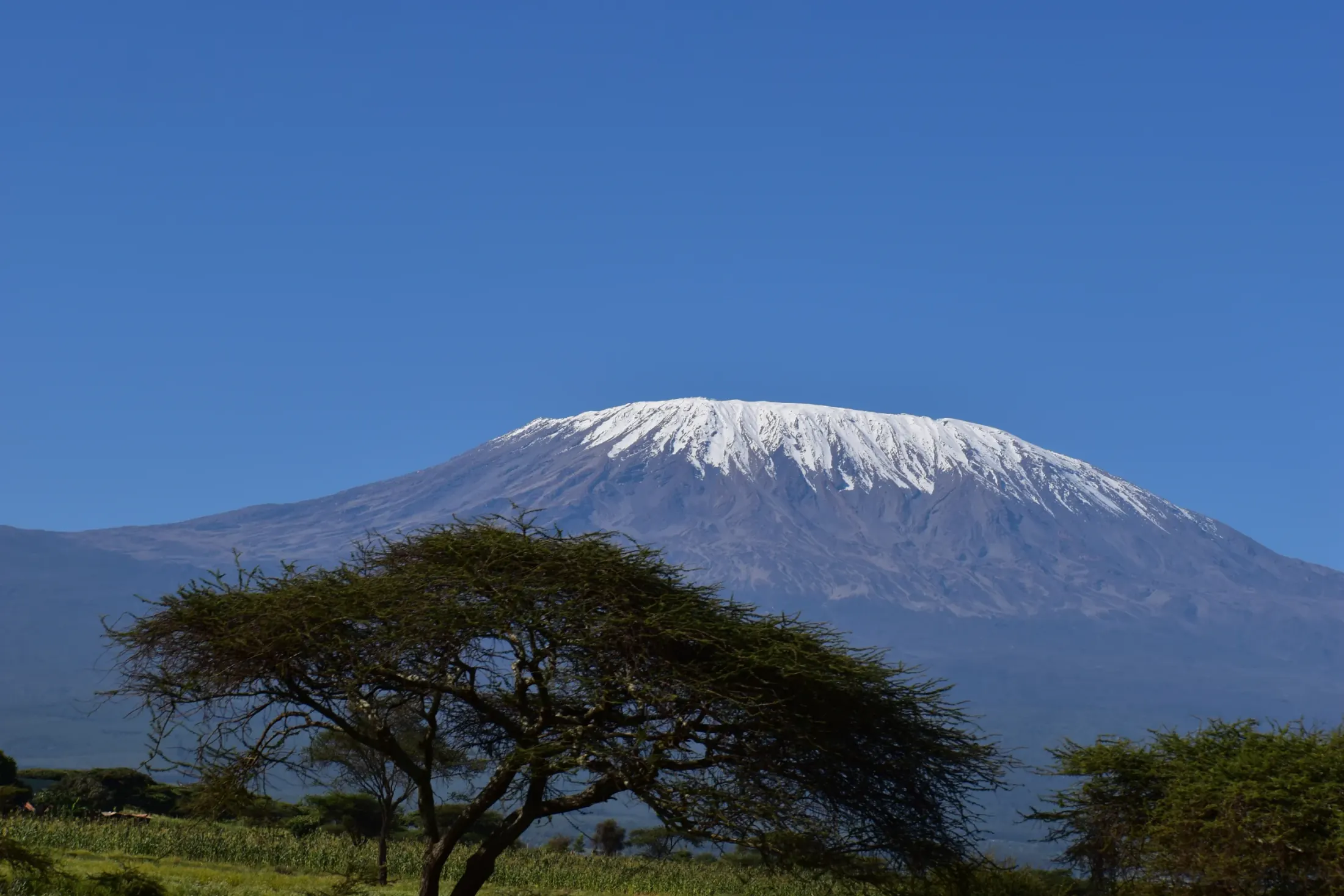 Mount Kilimanjaro Climb Experience itinerary