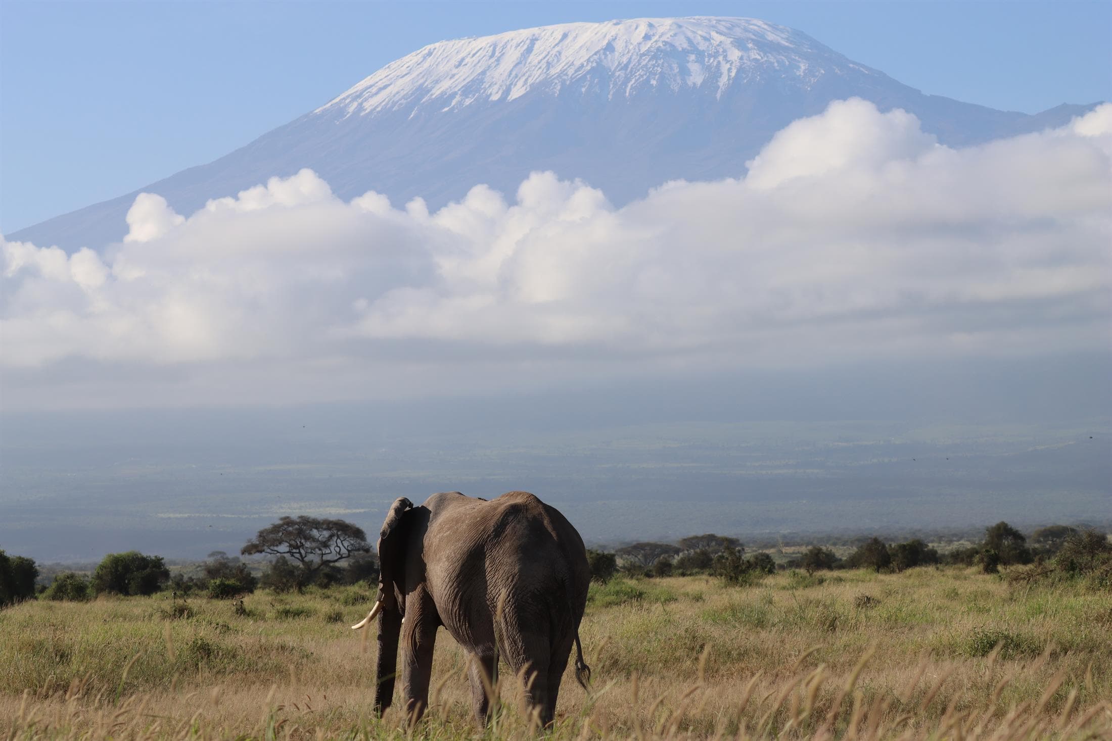 Marangu Route (Coca-Cola Route) itinerary