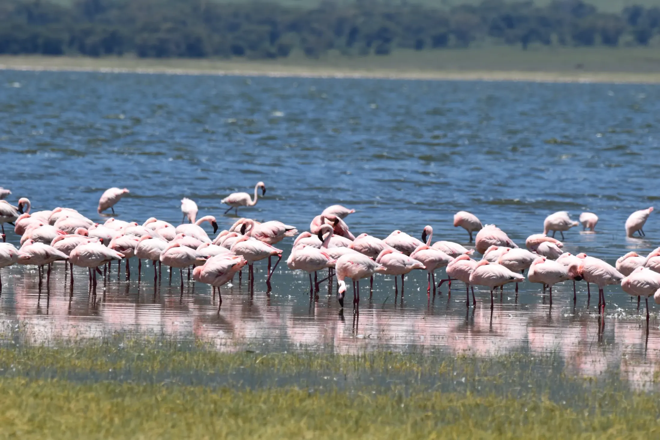 Lake Manyara