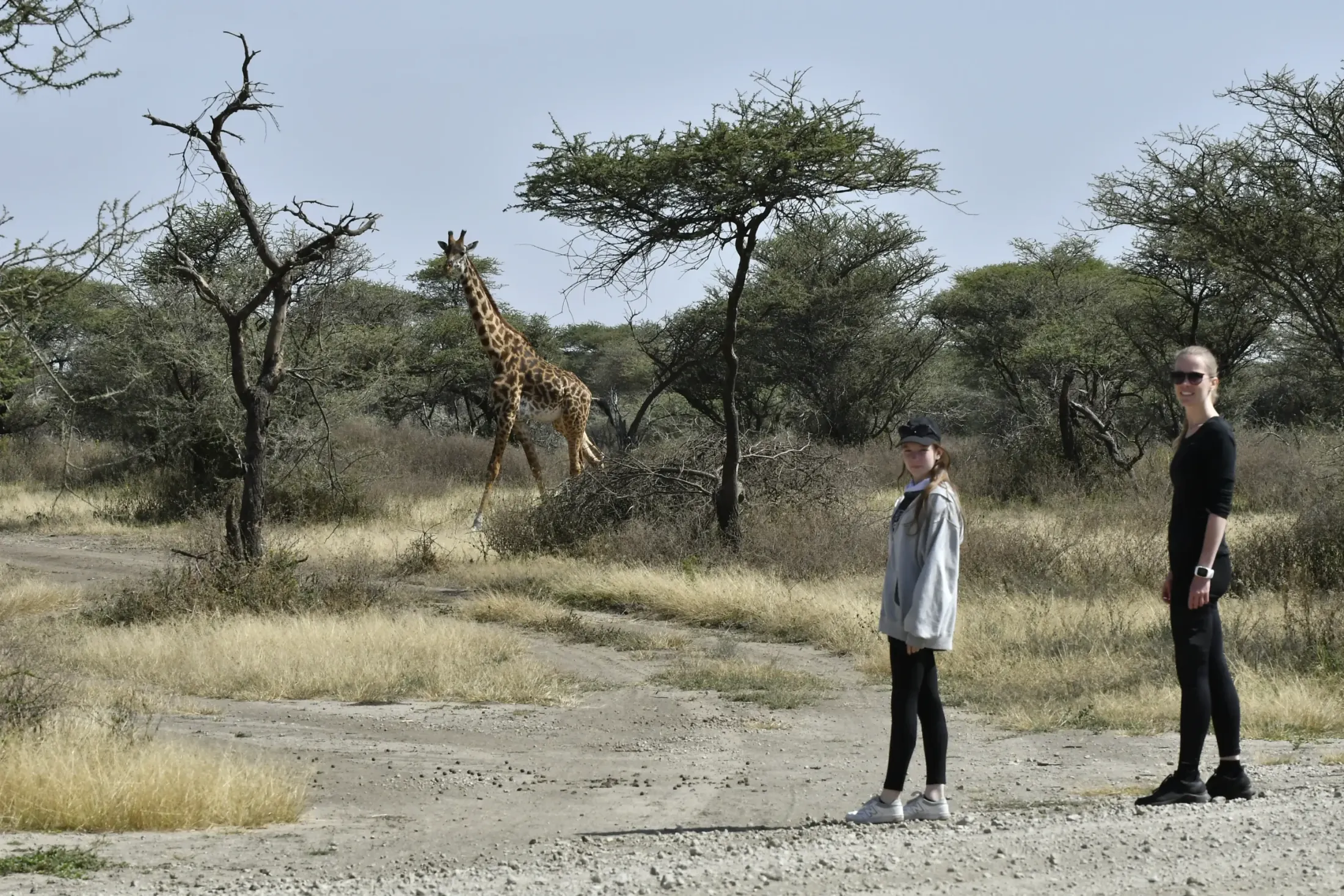 Ngorongoro travel highlight