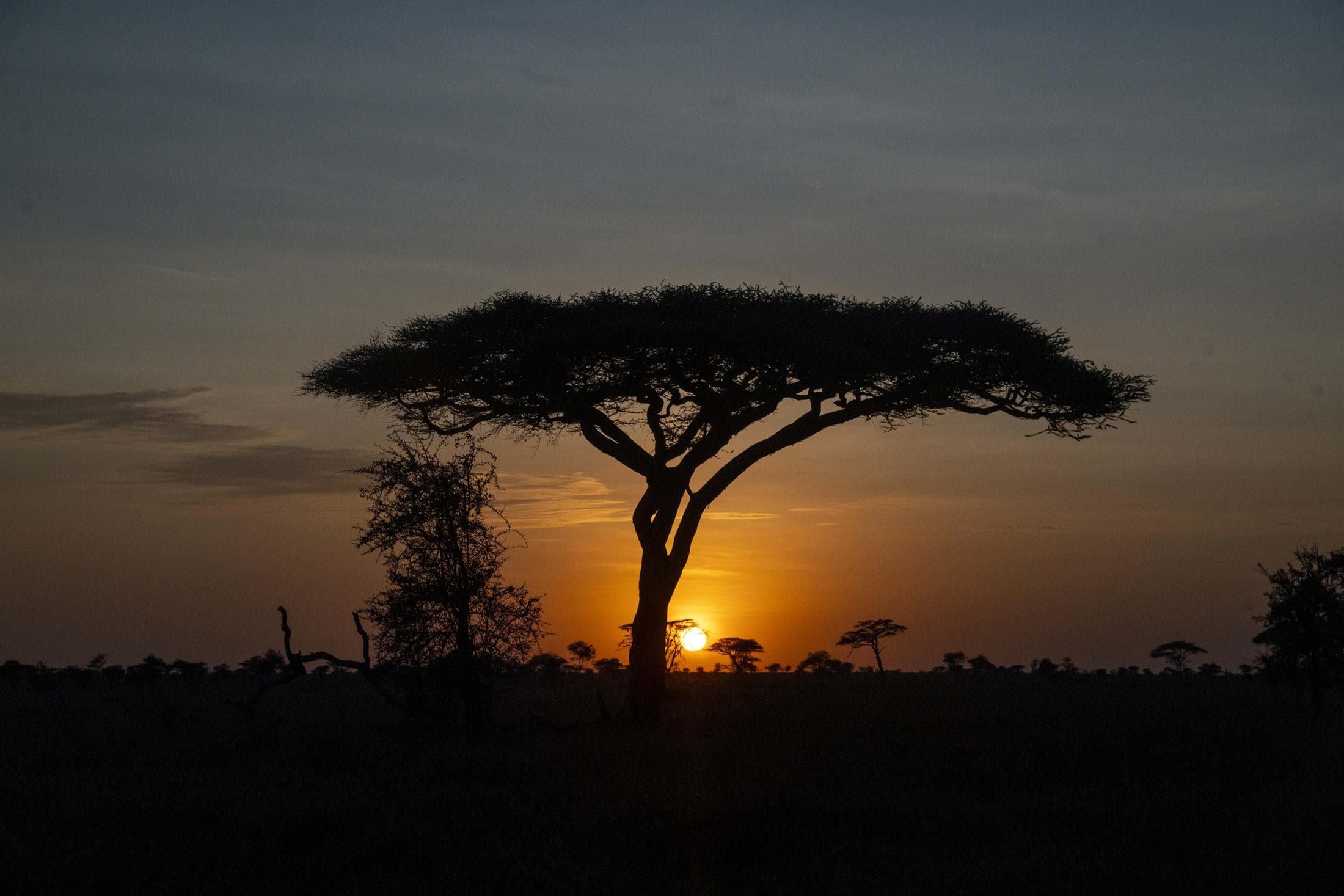 Atieno Tours and Safaris Tanzania travel scene