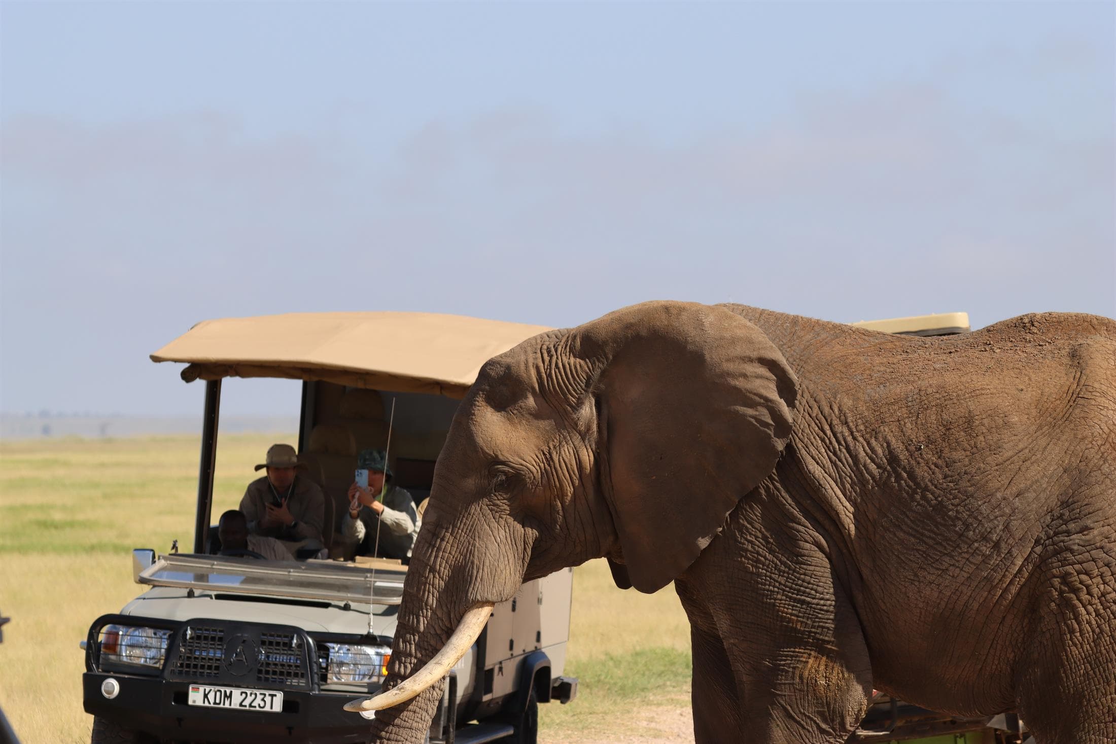 Tanzania safari landscape scene
